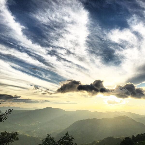 Landschaftsaufnahme Kaffeeregion Jinotega